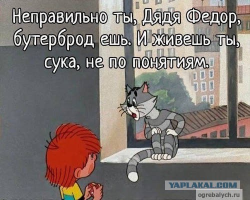 Что на самом деле говорил кот Матроскин