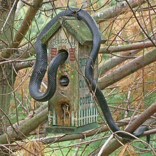 Подборка картинок из сети