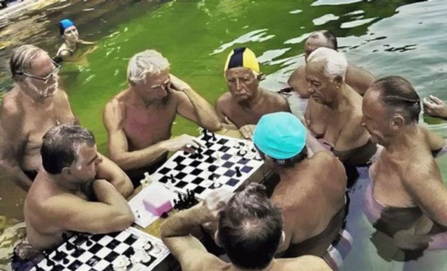 Шахматы - это круто!
