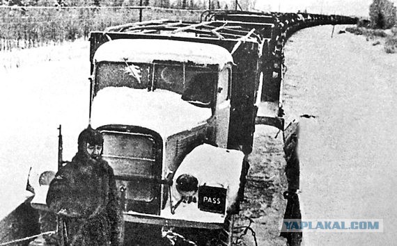 Рабочие лошадки второй мировой