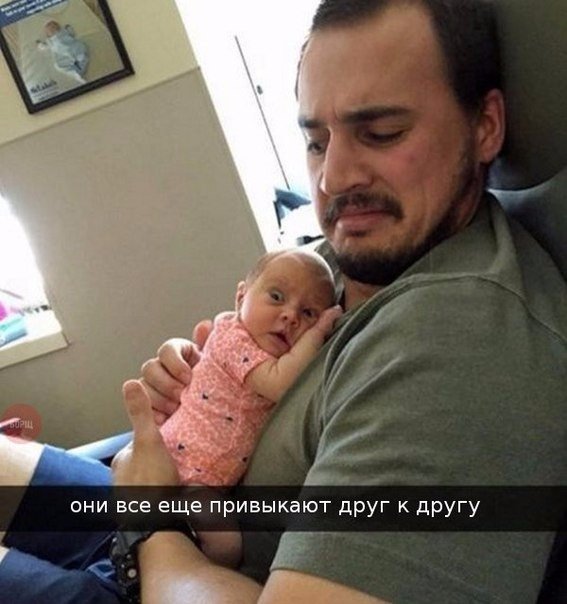 Картинки из ваших этих интернетов