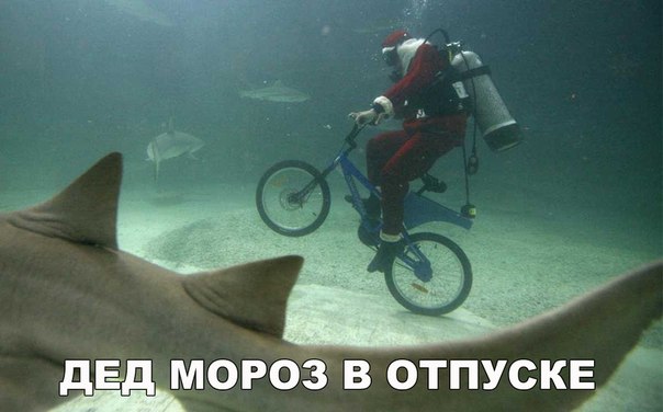 Подборка картинок