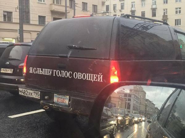 Подборка интересных и веселых фото