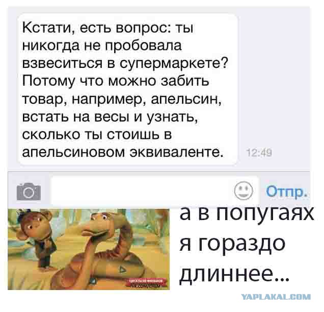Ужасы и приколы из соцсетей 18+