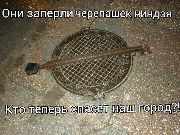 Подборка картинок с просторов...