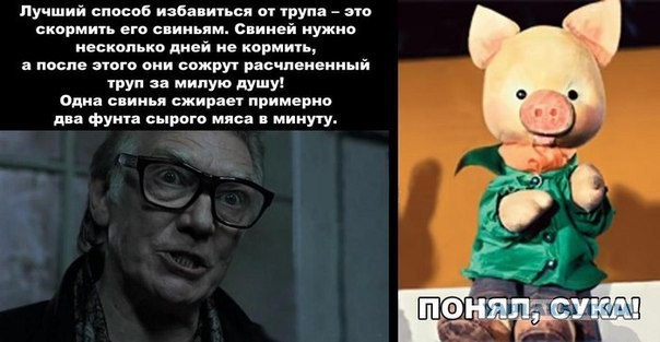 Юмор не для всех