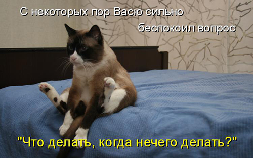 Картинки из ваших интернетов
