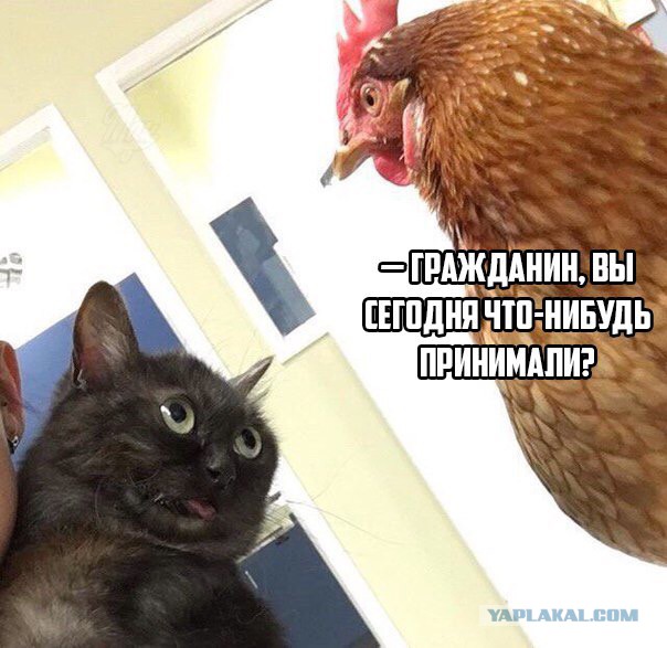 Адская бредятина со всей галактики