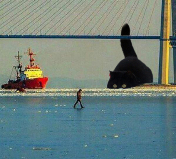 Где то на ДВ.