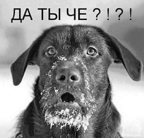 Вот зачем же так врать СМИ? Опрос: более 50% граждан России поддерживают повышение НДФЛ