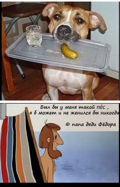 Картинки с просторов