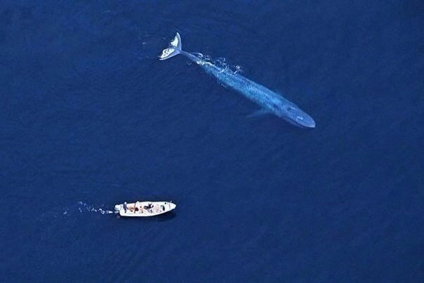 Всякие разные картинки