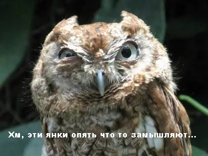 В Нью-Йорке устанавливают загадочные стальные башни, полные оптоволокона.
