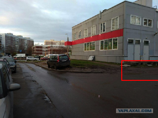 Как я стал крысой