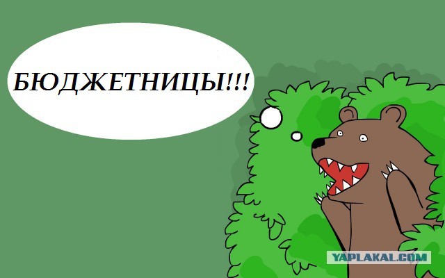 Мастер-класс по переводу на бюджет от опытных студенток