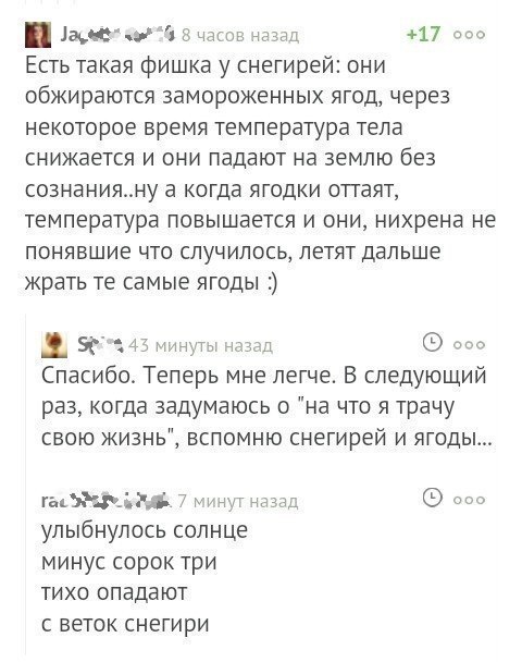 Смешные комментарии из социальных сетей 22.12.2017