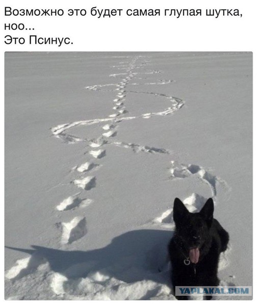 Специфический юмор