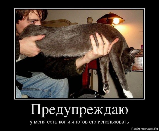Боевые коты