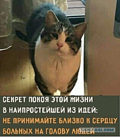 Слово сторонникам мусорных пакетов в подъезде!