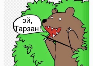 Яповцы, тут кого-то потеряли