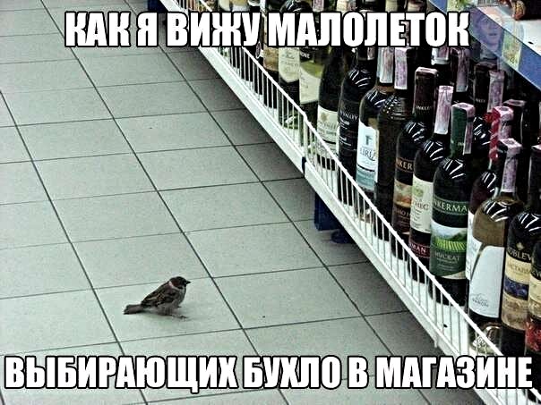 Картинки с надписями, истории и анекдоты