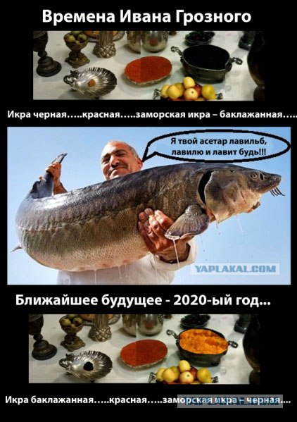 Конкурс на лучшую фотожабу против браконьеров.