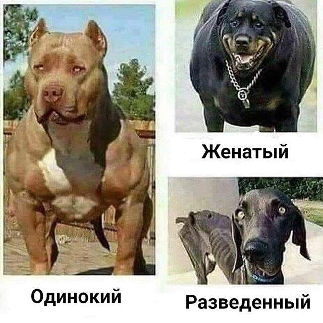 Почему мужчины живут меньше чем женщины?