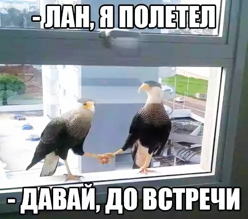 Немного картинок для настроения 07.05.20