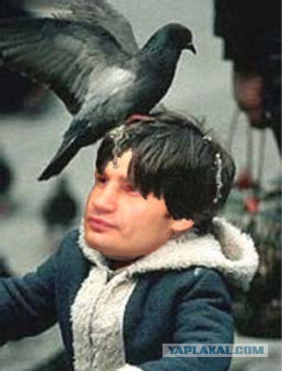 Фотожаба: Распорядись судьба иначе...