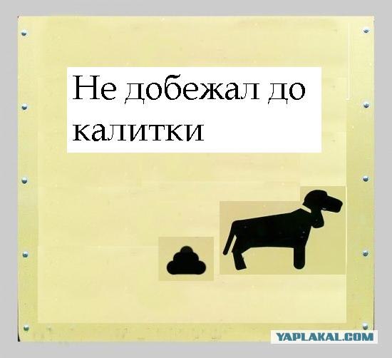 Фотожаба: Собака друг человека