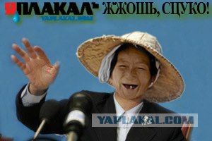 Фотожаба: Бабушка Ли