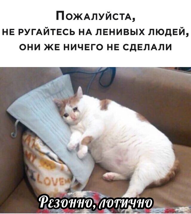 Немного картинок для настроения 03.09.20