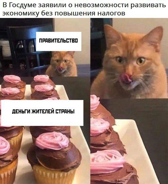 Правительство РФ не поддержало инициативу отменить транспортный налог