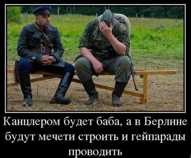 Фотки и картинки: юморные и красивые, забавные и милые 14.09.20