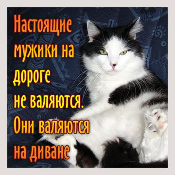 8 Марта International, или "Как пережить 8-е марта" – II