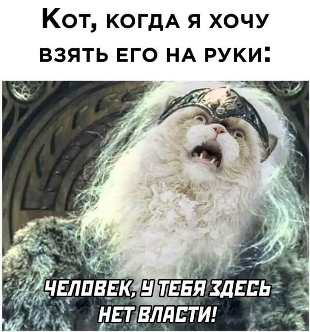 Картинки с надписями и всякие жизненные фразы 27.06.21