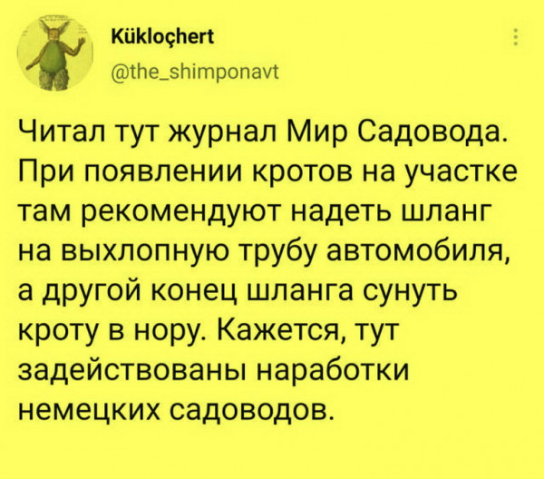 Весёлый полтишок 23.07