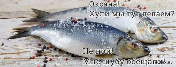 Баянисто-небаянистый юмор 10.10.21