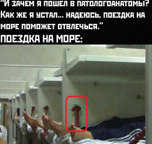 Фотки и картинки с текстом: юморные и красивые, забавные и милые 17.1121