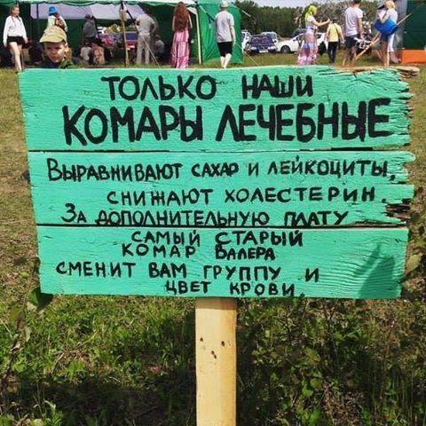 Норвежский король