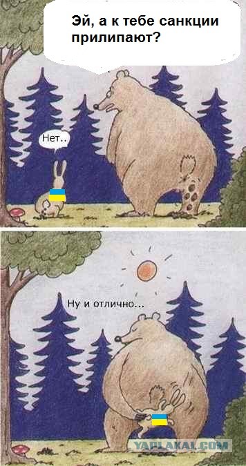 Наш ответ на санкции