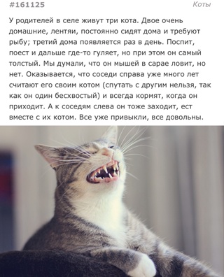 Картинки и мемы, начало праздников