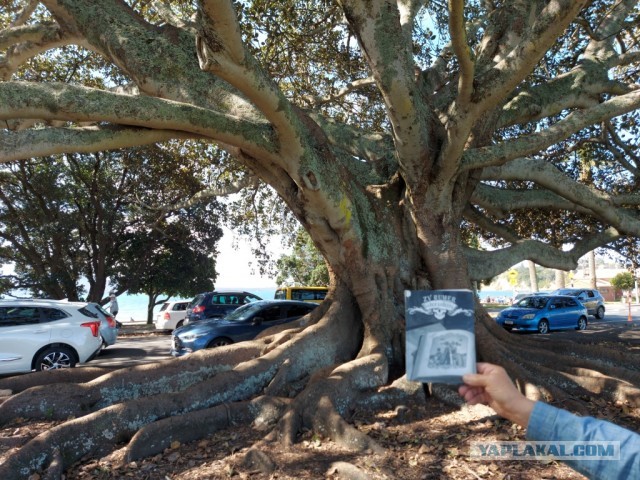 ЯП кругосветка. Этот проект завершился!