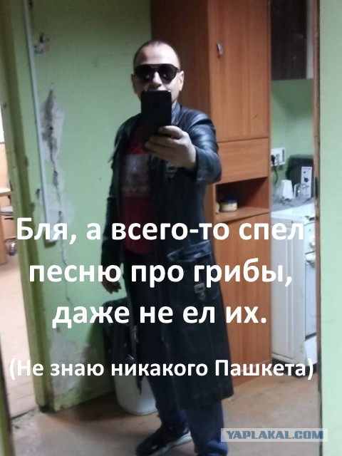 Пожабить не желаете?