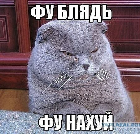 Пришёл с работы с суток. Жара 32 градуса.