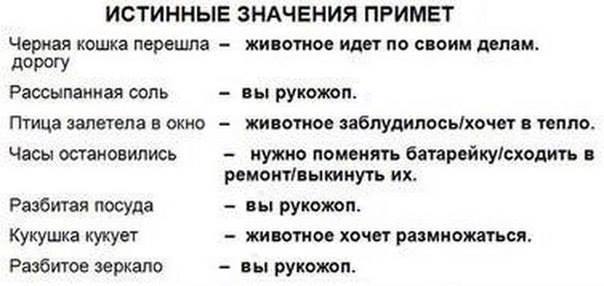 Пятница. Вечер. Картинки всякие #12