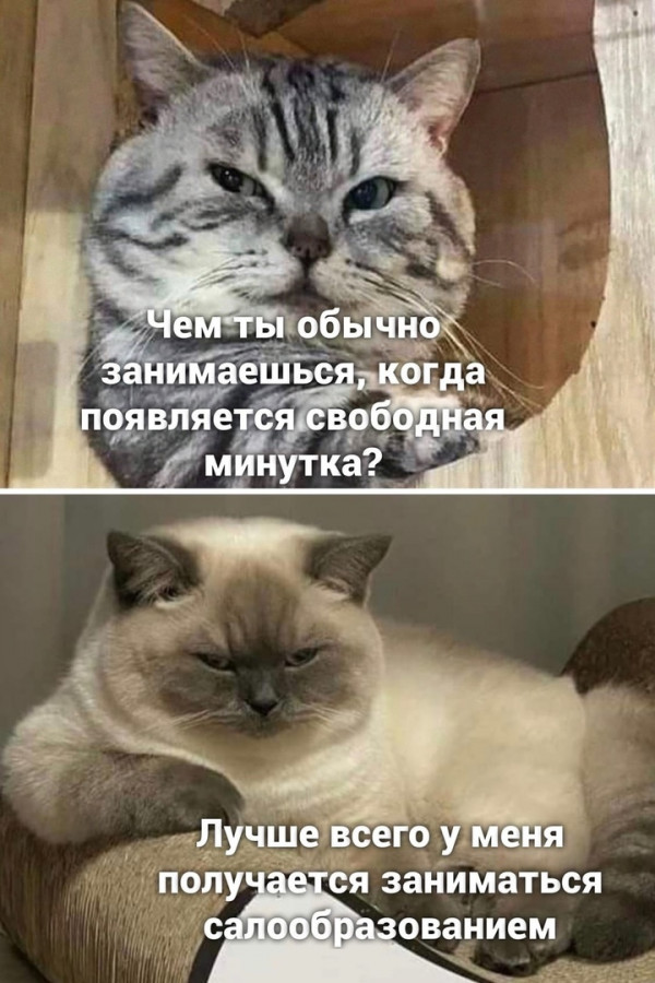Картинки и мемы для настроения - 03