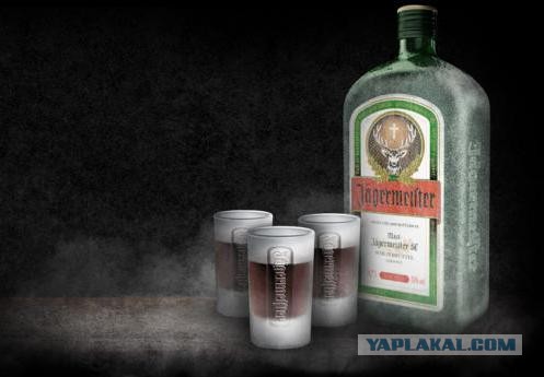 Настоящие друзья!