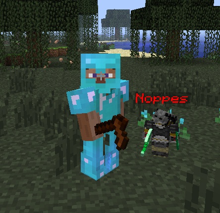 Minecraft