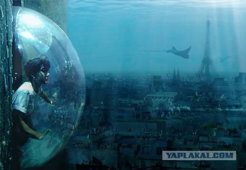Наш с вами подводный мир